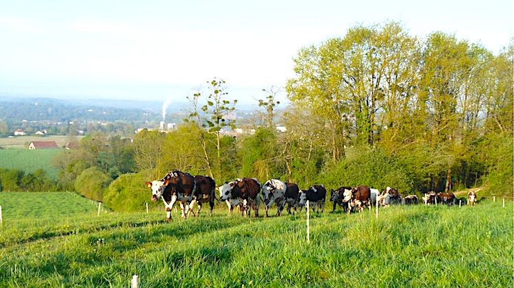 VOLONTÉ - L'union fait la force à la Journée agriculturelle de Castétis